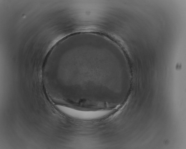 X0000094381457200711242011