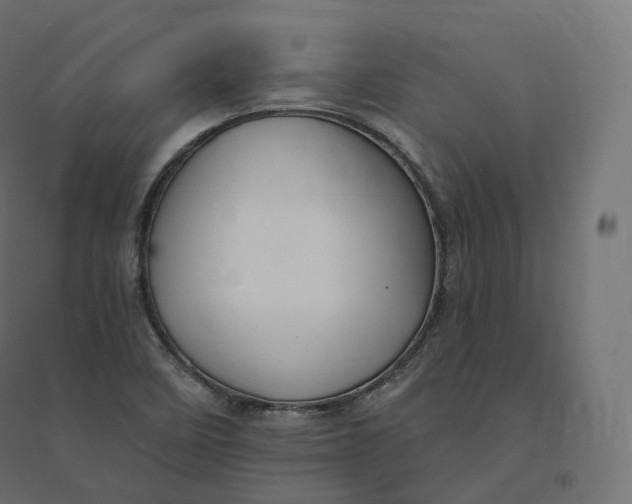 X0000094381458200711242011