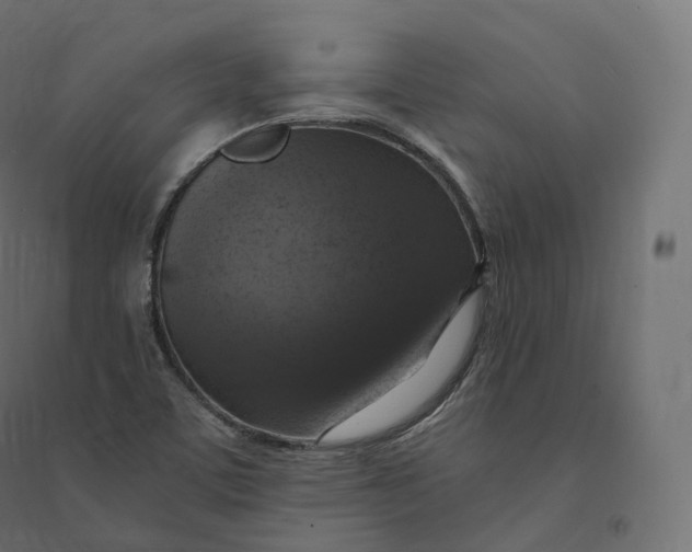 X0000094381459200711242011
