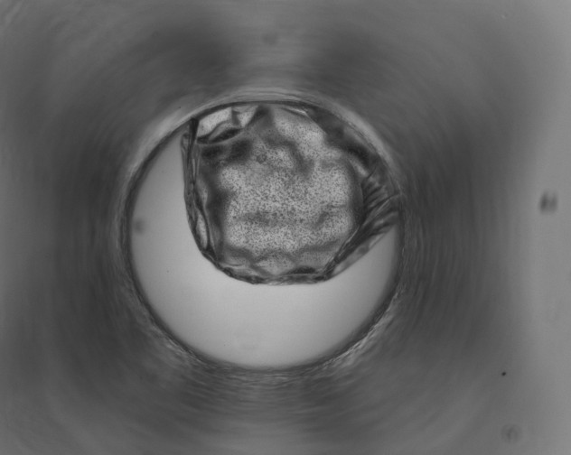 X0000094381461200711242011