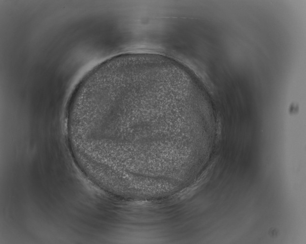X0000094381462200711242011
