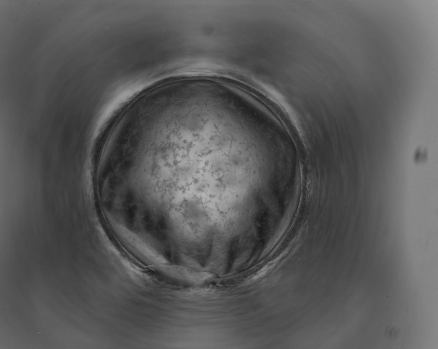 X0000094381464200711242011
