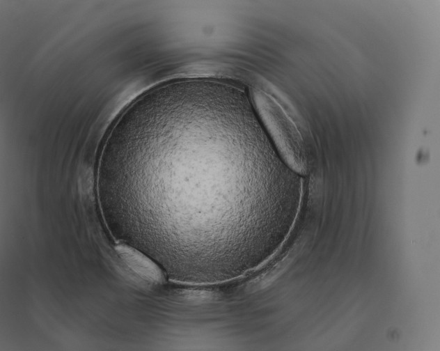 X0000094381465200711242011