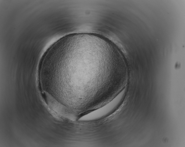 X0000094381469200711242011