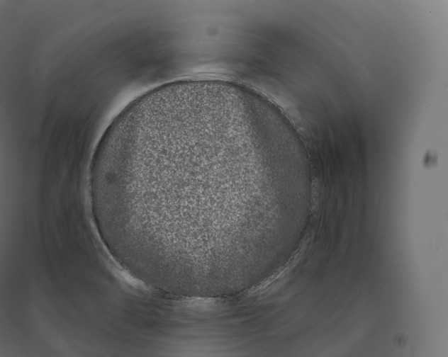 X0000094381470200711242011