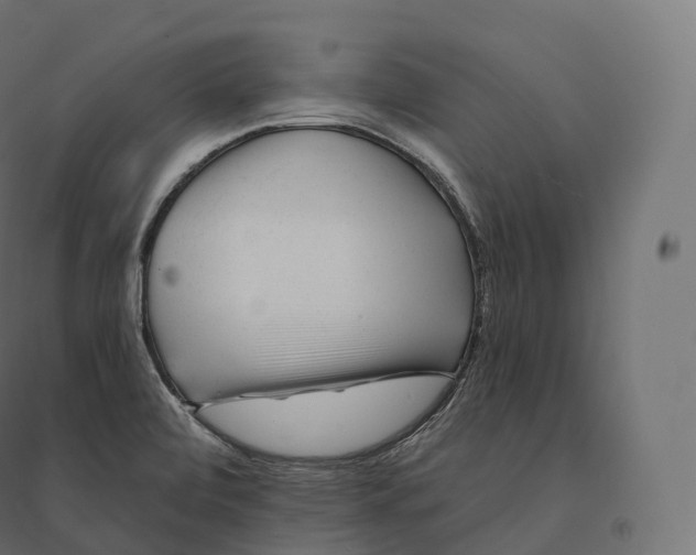 X0000094381472200711242011