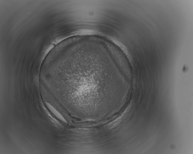 X0000094381473200711242011
