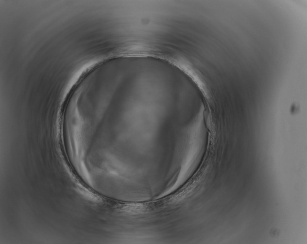 X0000094381477200711242011
