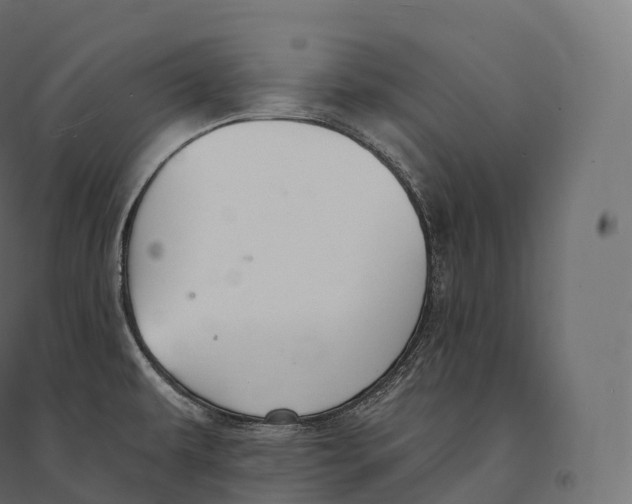 X0000094381479200711242011