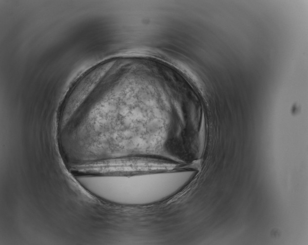 X0000094381480200711242011