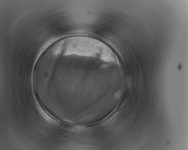 X0000094381482200711242011