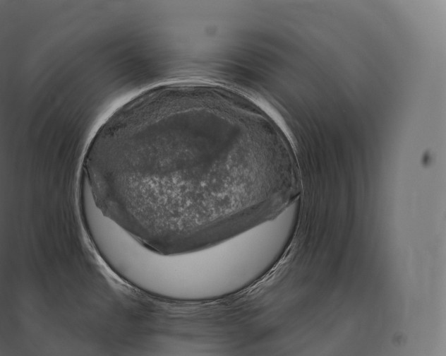 X0000094381485200711242011