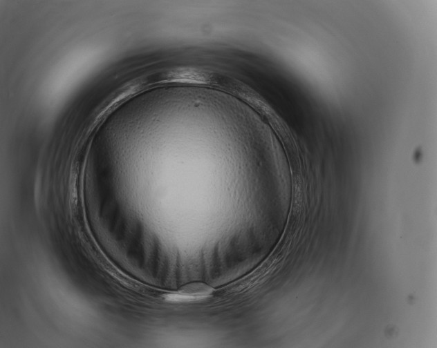 X0000094381487200711242011