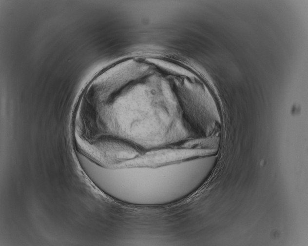 X0000094381488200711242011