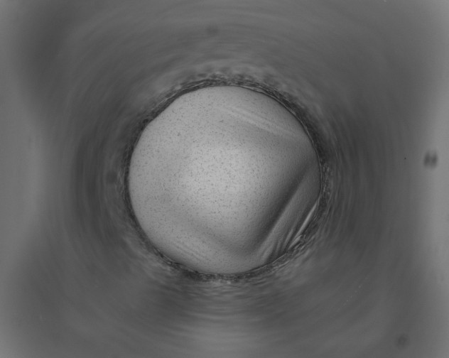 X0000094381489200711242010