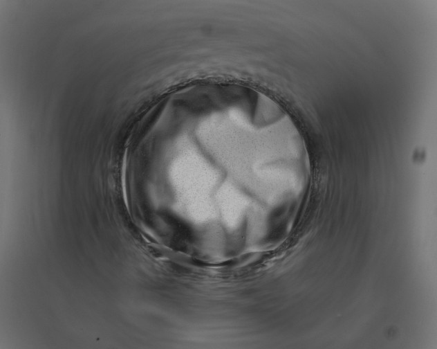 X0000094381490200711242010