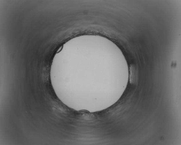 X0000094381491200711242010
