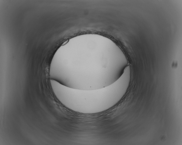 X0000094381492200711242010