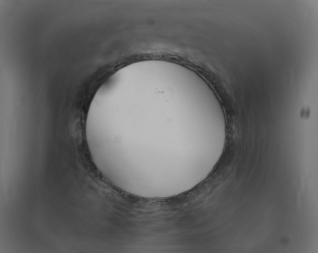 X0000094381493200711242010