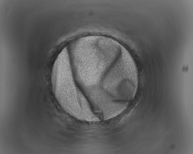 X0000094381494200711242010
