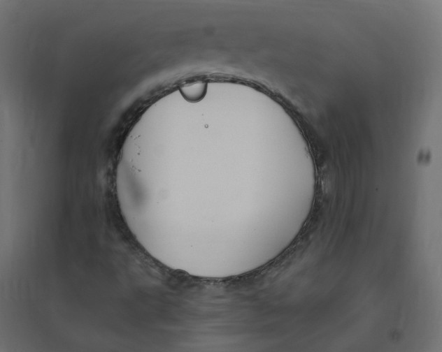 X0000094381495200711242010