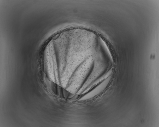 X0000094381496200711242010