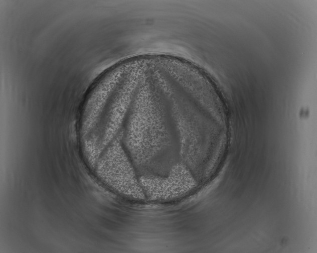 X0000094381497200711242010