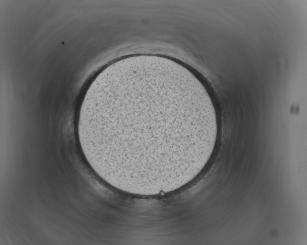 X0000094381498200711242010
