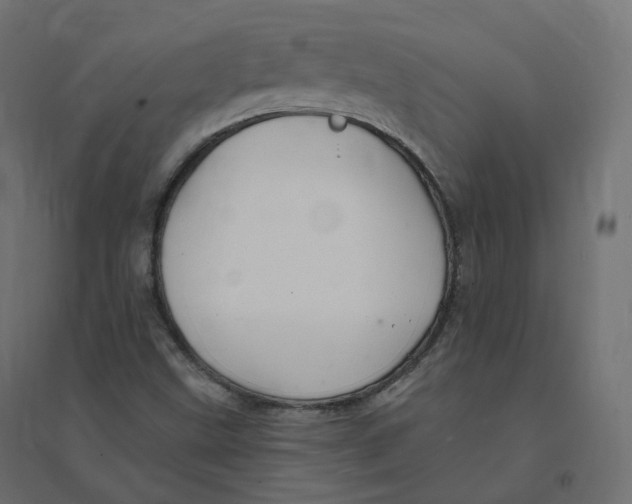 X0000094381499200711242010