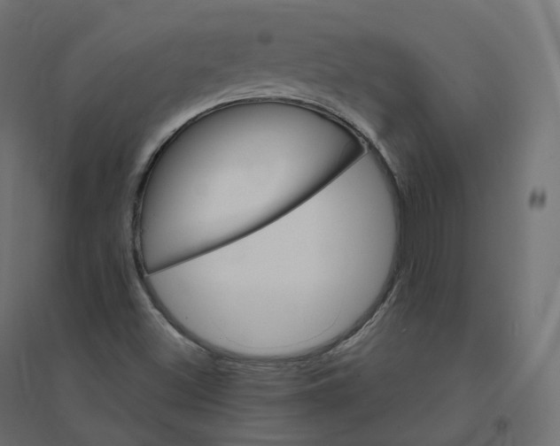 X0000094381500200711242010
