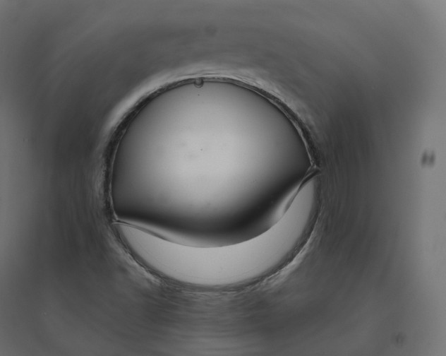 X0000094381502200711242010