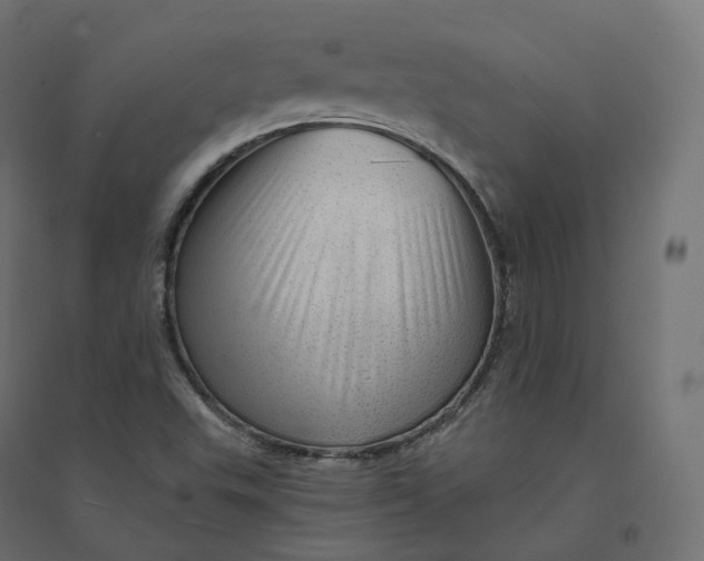 X0000094381503200711242010