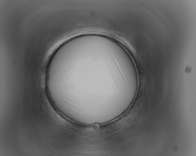 X0000094381504200711242010