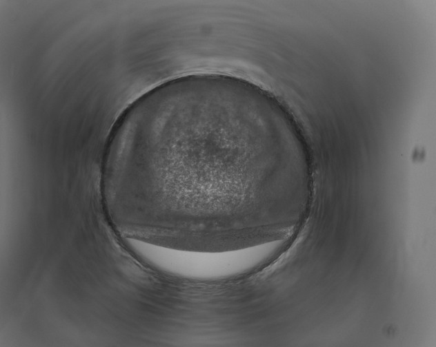 X0000094381505200711242010