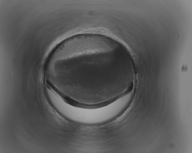X0000094381506200711242010