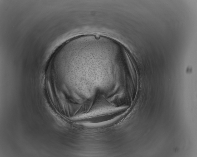 X0000094381507200711242010