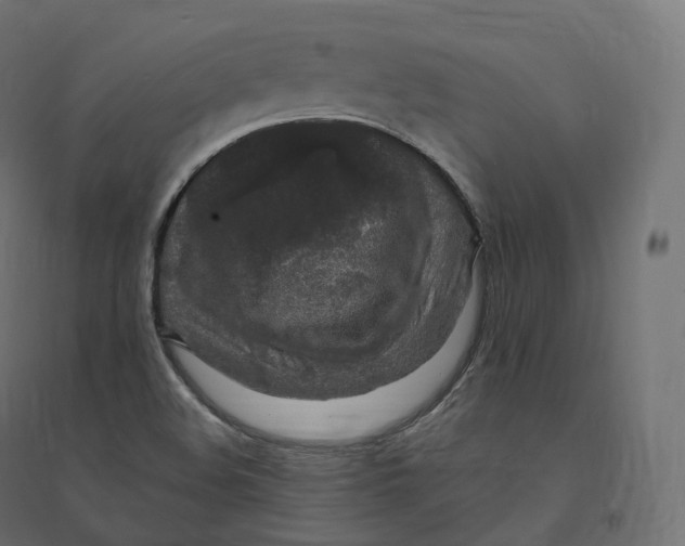 X0000094381508200711242010