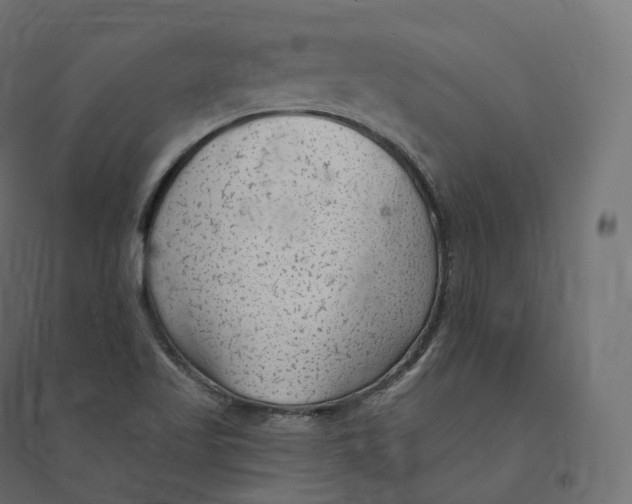 X0000094381509200711242010