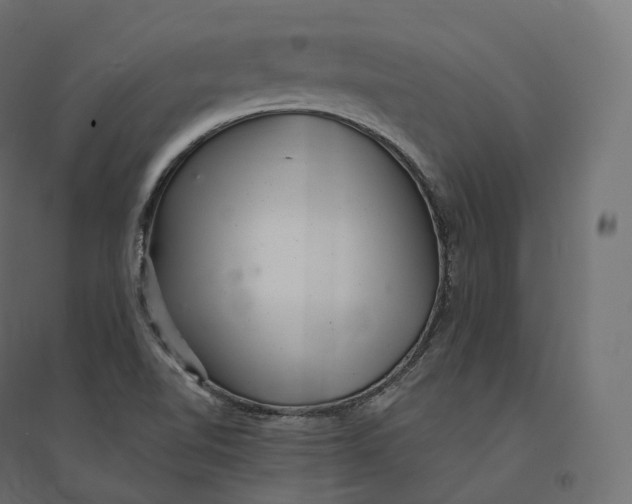 X0000094381510200711242010