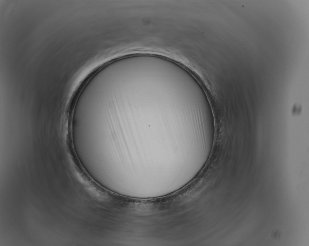 X0000094381511200711242010