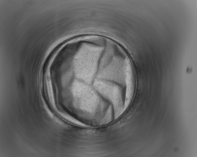 X0000094381515200711242010
