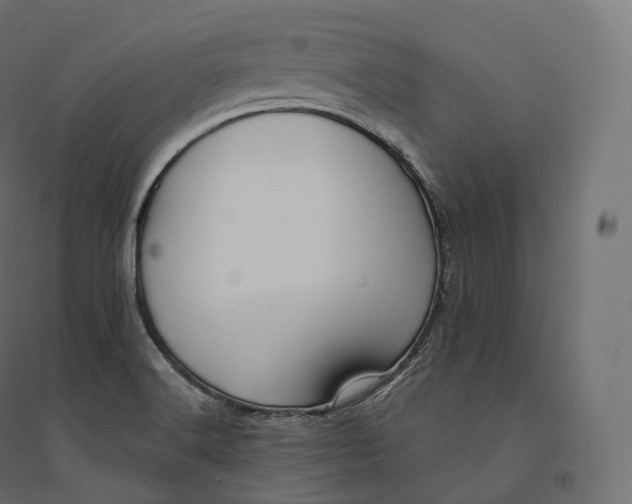 X0000094381516200711242010