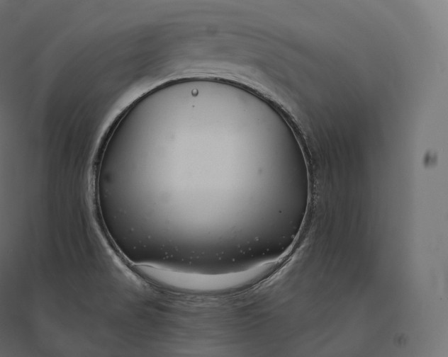 X0000094381517200711242010