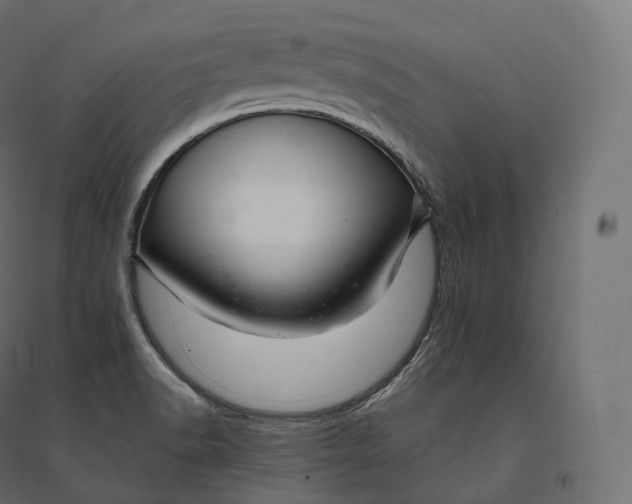 X0000094381518200711242011