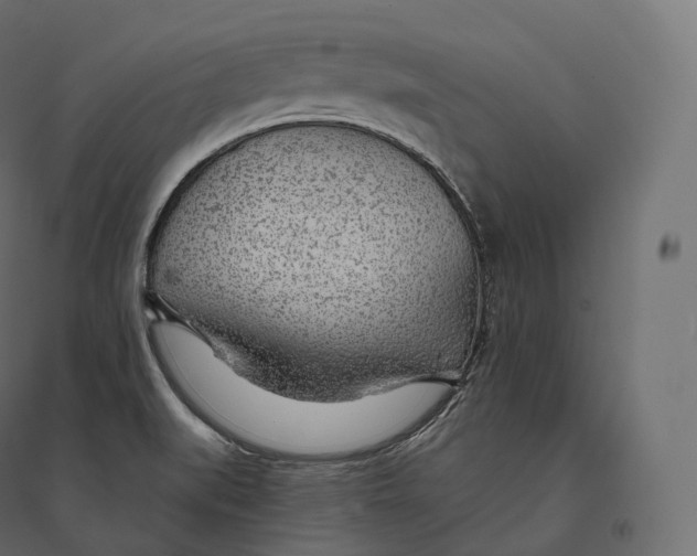 X0000094381519200711242011