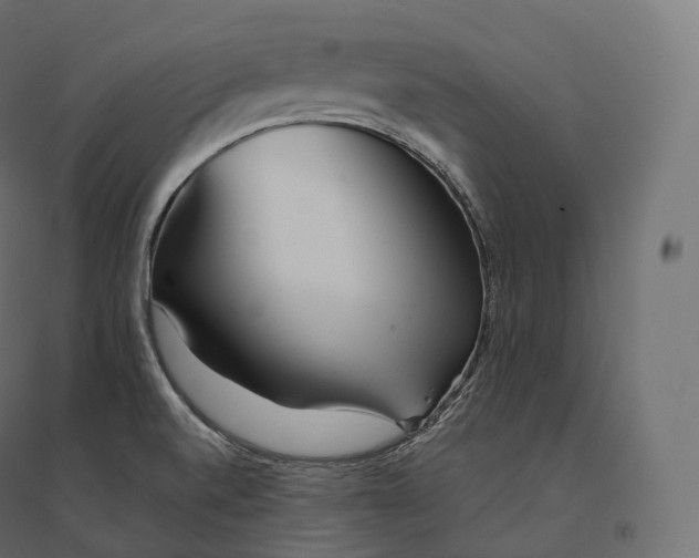 X0000094381520200711242011