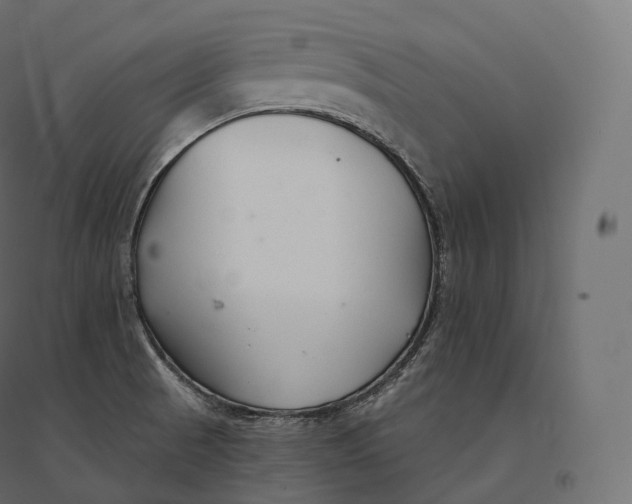 X0000094381521200711242011