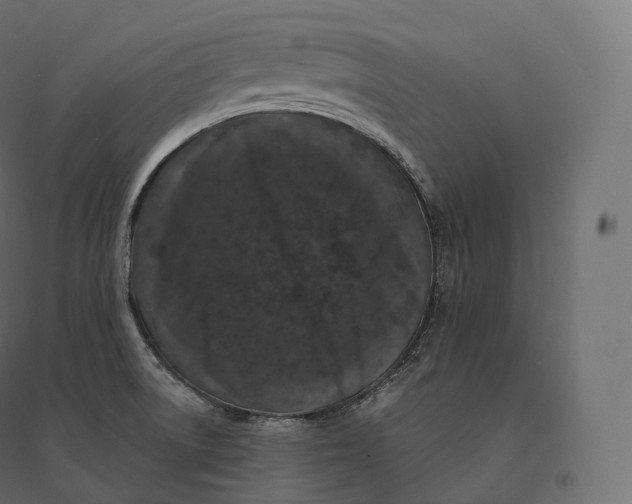 X0000094381522200711242011