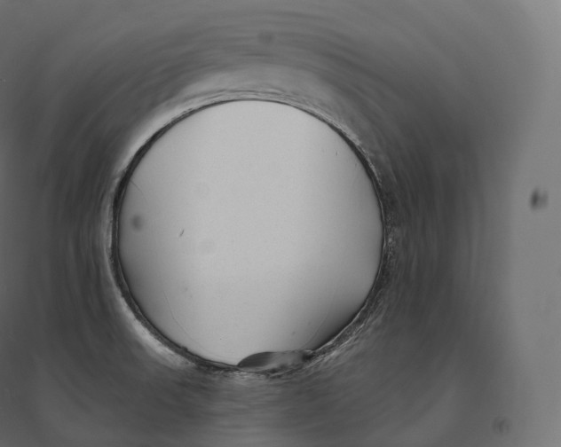 X0000094381523200711242011