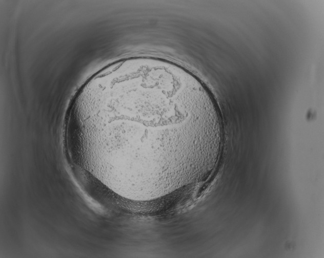 X0000094381525200711242011